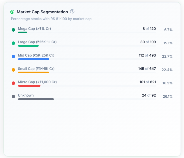 Market Cap Segmentation panel