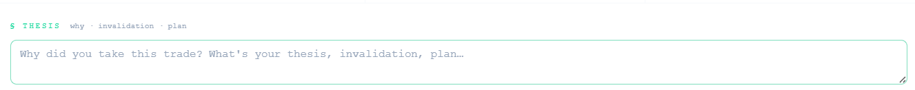 Thesis section, showing the why/invalidation/plan tabs and text field